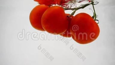 蔬菜红番茄在白色背景下慢慢沉入水中