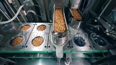 <strong>塑料板</strong>被机械地装满了面包屑。 食品工厂设备。