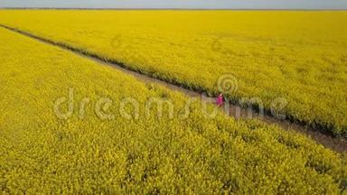 美丽<strong>的</strong>女孩走在黄色<strong>的田野</strong>-鸟瞰。 头发在风中飘扬。