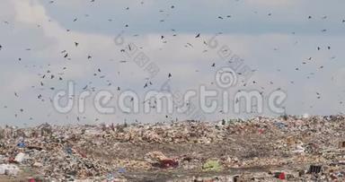 在非回收第三世界国家的巨大垃圾场上的人和鸟。