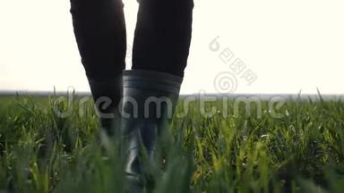 在夕阳的照耀下，女农民穿着橡胶靴在绿色的田野上行走。 农业耕作