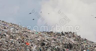 成群的<strong>乌鸦</strong>吃坐着<strong>飞过</strong>巨大的垃圾山上的垃圾场回收问题。