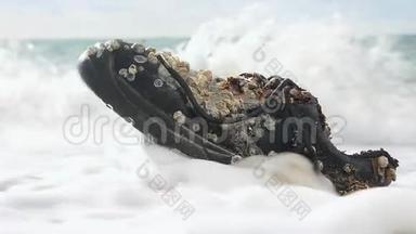 <strong>环保</strong>和<strong>污染</strong>的概念.. 一只长满贝壳的旧鞋躺在海滨。 快关门。