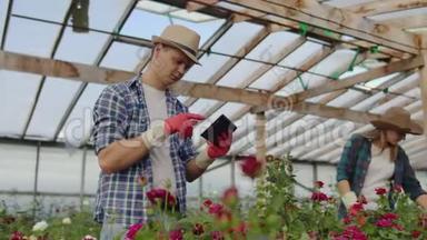 同事们花店和平板电脑一起在玫瑰种植的温室里工作。 做花支票的<strong>小生</strong>意