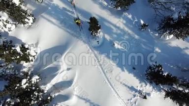 在常青树之间滑雪的冬季设备