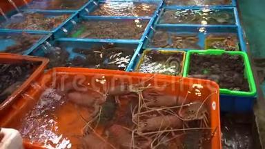 4K亚洲传统海鲜市场摊在富士鱼市场出售新鲜食品