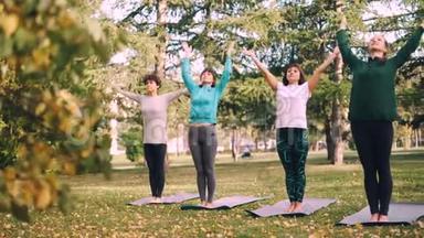 秋日，一群女孩正在城市公园户外练习瑜伽，女人们站在垫子上，向后弯腰