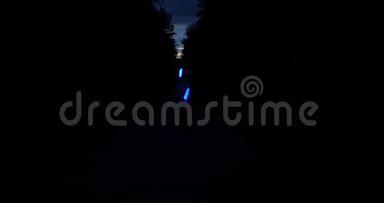 根特尔曼在森林里的夜晚旋转poin。