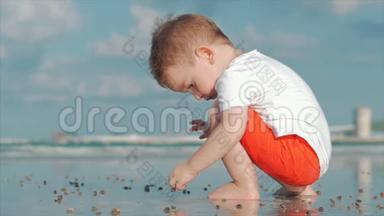 可爱的小儿童在海边玩耍，儿童在热带海滩上捕捉，体贴的活海贝壳，螃蟹