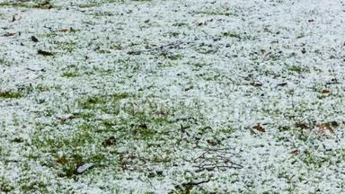 动态时间推移视频雪慢慢融化在小雨在草坪上的花园。 4k，25fps，4096