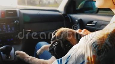 一只狗坐在<strong>主人</strong>旁边的一辆车里。 我们和你最喜欢的<strong>宠物</strong>一起旅行