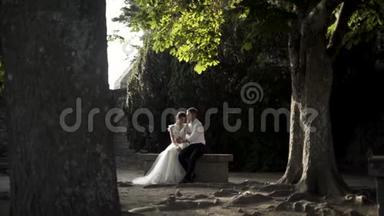 一位新娘和新郎<strong>坐在</strong>长凳上，拥抱在一座古老而美丽的绿<strong>树下</strong>的城市公园里，家人和家人。