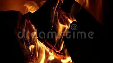 开火。 黑色背景下燃烧的火焰特写。 慢动作的篝火。 做饭用的篝火。