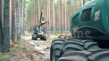 森林收割机正在搬迁砍伐的木材