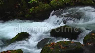清澈的依拉西山溪流在秋天迅速流过覆盖着绿色苔藓和五颜六色叶子的岩石