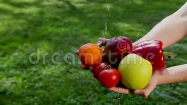 手拿着蔬菜和水果，上面有水，潮湿的蔬菜和水果，以保持卫生