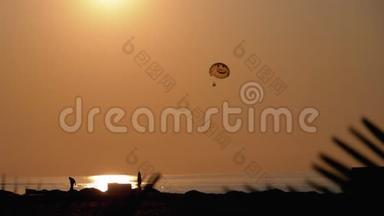 在日落时寄生。 降落伞在船后的<strong>绳索</strong>上飞行。 透过棕榈叶剪影观看。