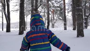 摄像机在奔跑的孩子后面移动。冬天，一个小男孩在树间奔跑。家庭观念