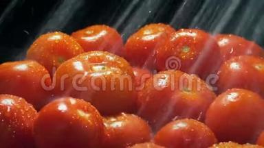 西红柿用喷水冲洗