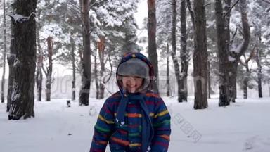 一个快乐的笑着的孩子<strong>跑到</strong>森林或公园里的一个移动的Stedikam摄像机前。 一个小男孩在玩耍