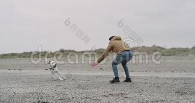 快乐而微笑的男人在海滩上和他的达尔马提亚狗玩得很有趣。 一只长得很好看的狗在跑，球在他身上