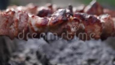 肉串上的肉串上的手持烧烤烤架，室外的特写和放大的shashlik