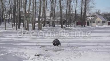 冬天，人们在雪地上敲打家用地毯来清洁和吸尘地毯。 奇怪的俄罗斯传统或<strong>习俗</strong>。 一个