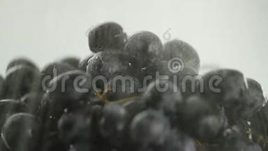 在视频中，我们看到葡萄，在视频的中间，水开始从顶部倒入，特写，白色背景。