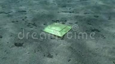 塑料污染，方形黄色塑料板位于沙质底部。 地中海海底的塑料盘子