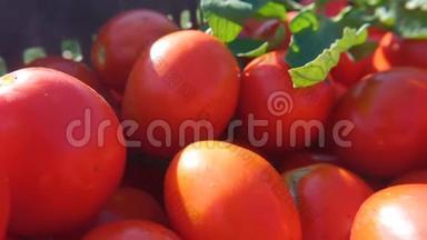在食品店的盒子里放着新鲜成熟的番茄。 健康的饮食。
