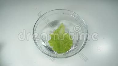 新鲜生菜在白色背景下落入清水中，缓慢运动。 玻璃碗里的生菜叶