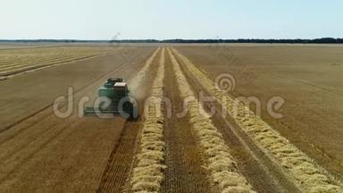空中无人机镜头。 前景联合收割机收麦.. 收割粮田..