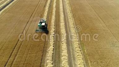 空中无人机镜头。 前景联合收割机收麦.. 收割粮田..