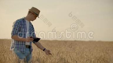 一个戴着帽子、穿着牛仔裤、戴着<strong>防癌</strong>药片的男人，看着黑麦和大麦的芽，检查种子
