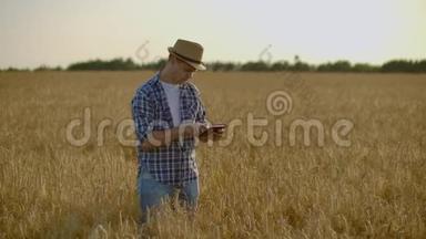 一个戴着帽子、穿着牛仔裤、戴着防癌药片的男人，看着黑麦和大麦的芽，检查种子