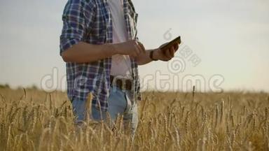 一个戴着帽子、穿着牛仔裤、戴着防癌药片的男人，看着黑麦和大麦的芽，检查种子