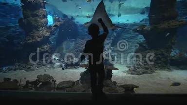 动物园里的海洋动物，小男孩的剪影在海洋馆里看鱼和黄貂鱼，<strong>海底世界</strong>清澈见底