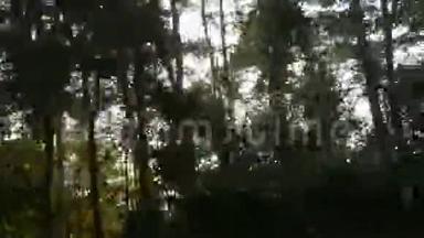 汽车行驶在一条绿树成荫的乡村道路上的录像。 太阳从树林里照进来，<strong>一路</strong>向前
