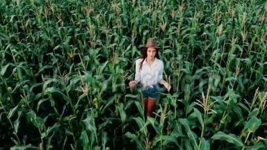 戴着帽子的年轻农民女孩，在一片玉米地上，在阳光下穿过高大的玉米秸秆，航拍。 培养