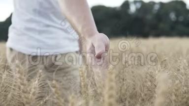 一个人手牵着金色的麦穗
