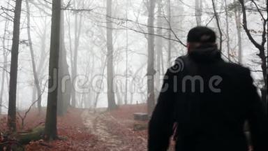 一个人走在雾蒙蒙的森林里