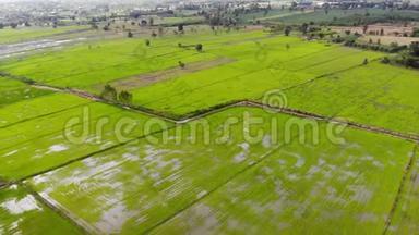 无人机拍摄乡村农业农场的鸟瞰风景