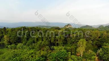 无人机拍摄乡村自然森林景观鸟瞰图