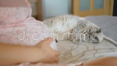 猫看着怀孕的情妇。 女人<strong>抚摸</strong>她的大肚子。 宠物躺在怀孕女孩附近的床上。