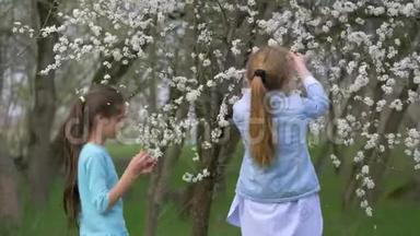 两个未成年女孩折断了一棵开花树的枝条。 春暖花开的季节大自然中有趣的游戏
