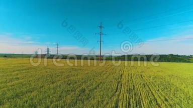 农村地区有农作物和电线杆的宽阔<strong>野地</strong>的鸟瞰图。 4K.