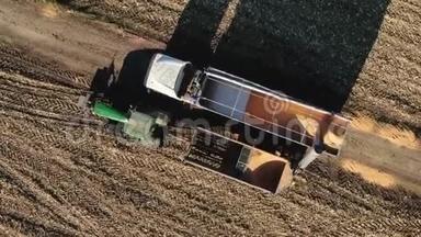 收获的玉米被转移到卡车上。 玉米从组合螺旋下降到谷物车。 联合收割机