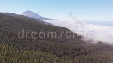 从无人驾驶飞机上可以看到最好的泰德火山-一个布满云层的山谷，一片茂密的常青森林和一座火山