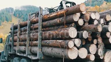 一辆装满新鲜锯木的大卡车。 树干整齐地排成一排。 卡车上的木材运输