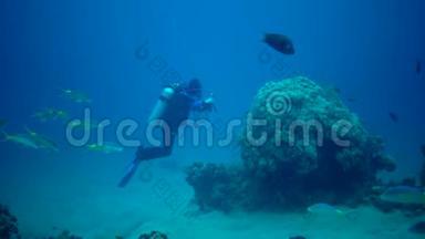 Marsa Alam，Abu Dabab，埃及-Mart23，<strong>2019</strong>年：一名潜水员在珊瑚礁上观看并拍摄热带鱼的<strong>视频</strong>